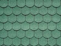 Bibershield 04 Forest Green